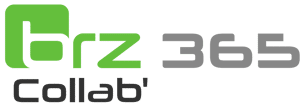 Logo BRZ 365 Collab' BRZ France